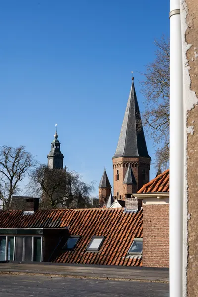 De Zoutknop