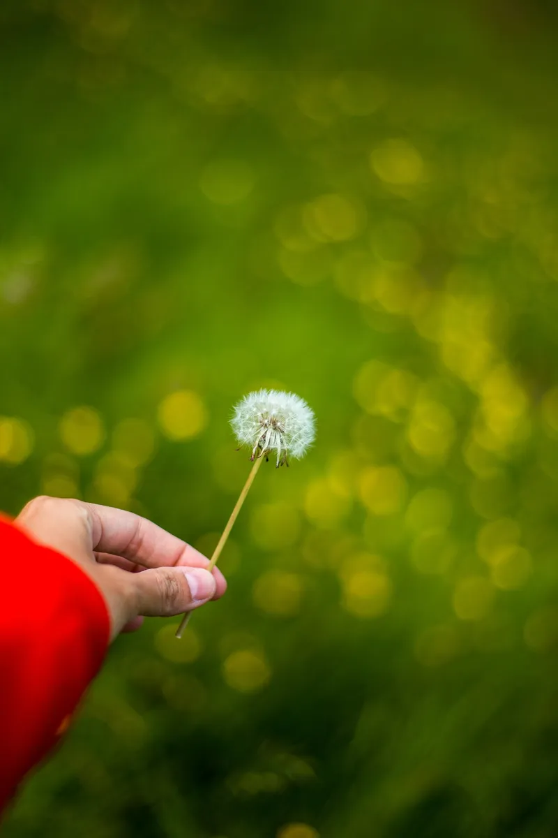 Ademenleefstijlcoaching