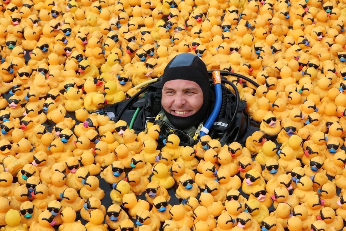 Zwembad Aquarijn
