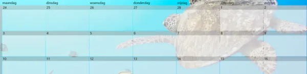 Amaprof Massages Hoorn