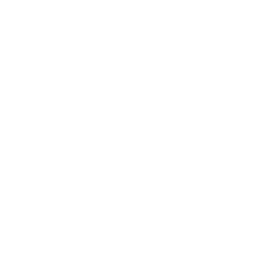 ROOS Aanrakingstherapie