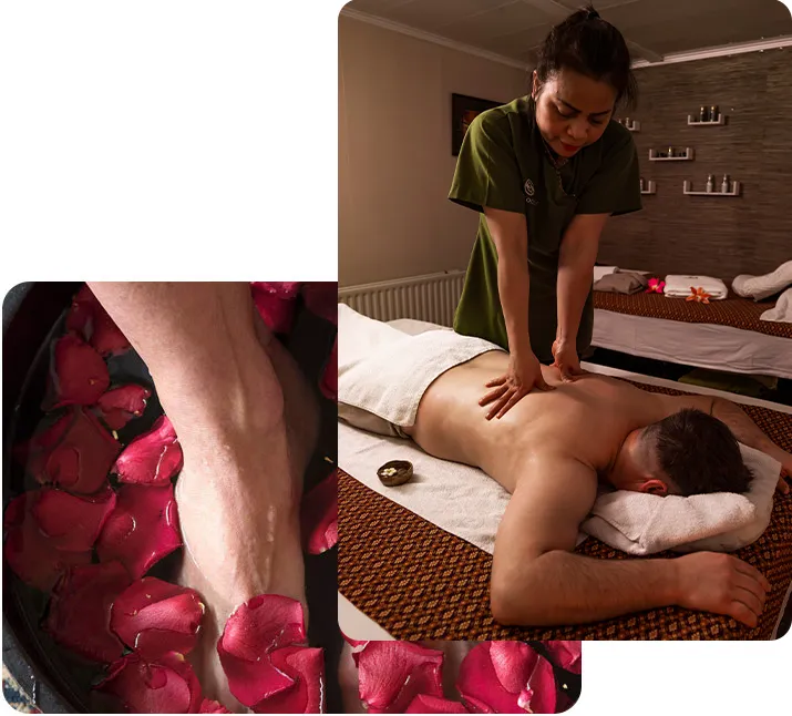 Siwocco Wellness