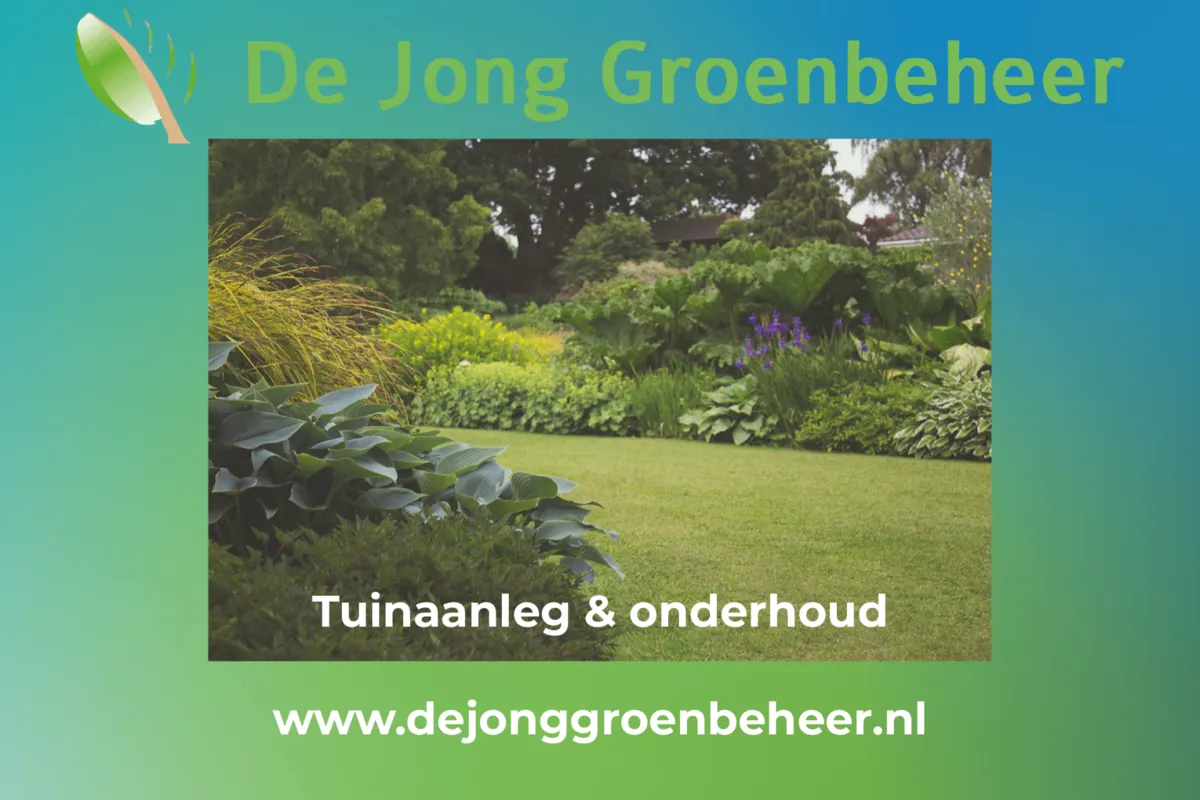 Foundation Wantijbad Dordrecht