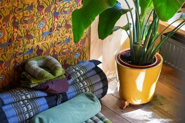Thai Massage Edam
