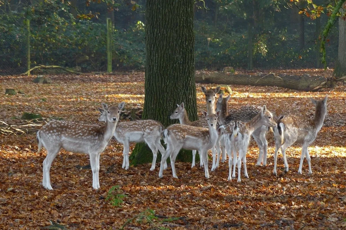 De Spaarbankhoeve