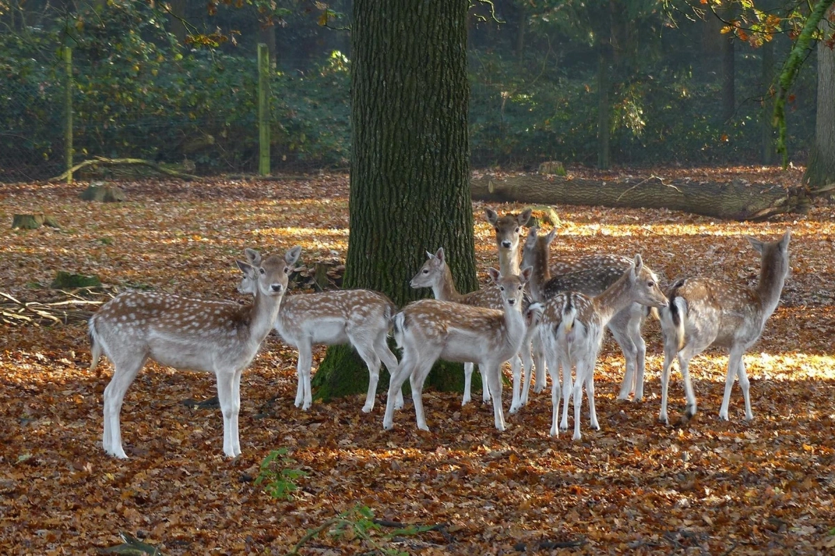 De Spaarbankhoeve