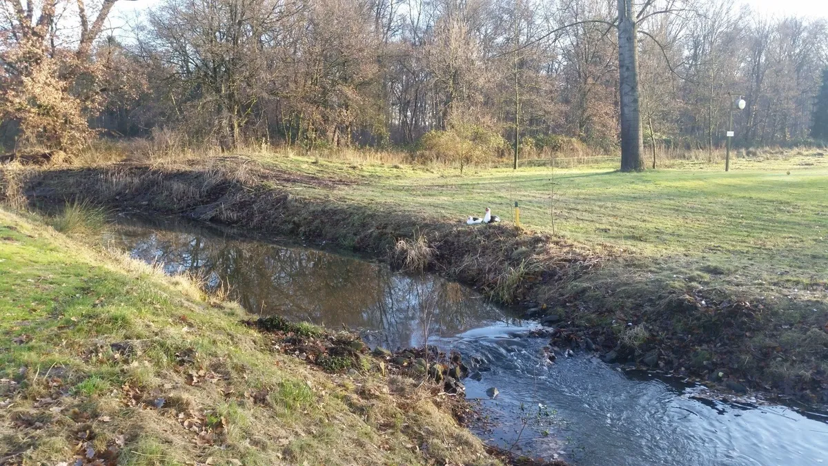 De Groene Muze