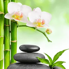 Marlies Wellness & Relaxation
