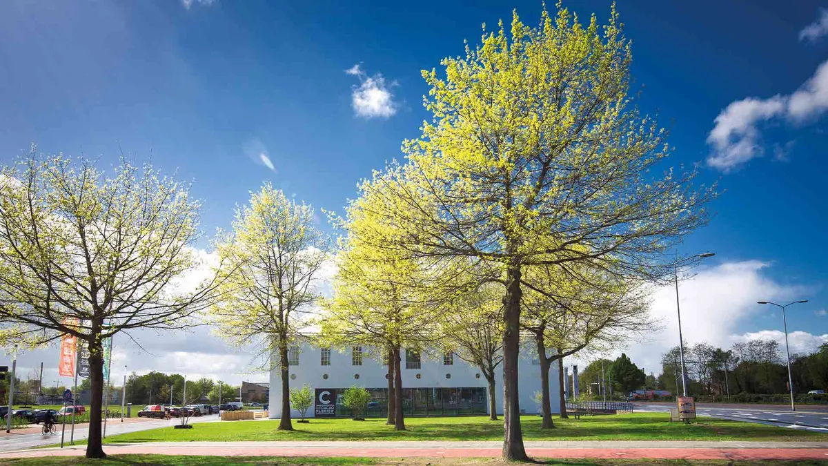 BLUE Wellness Helmond