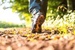 Paping Hotel & Spa | Restaurant Vonck by Flow